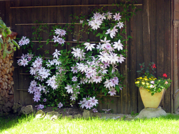 Ferienwohnung Kühn Irmgard (Bad Birnbach)