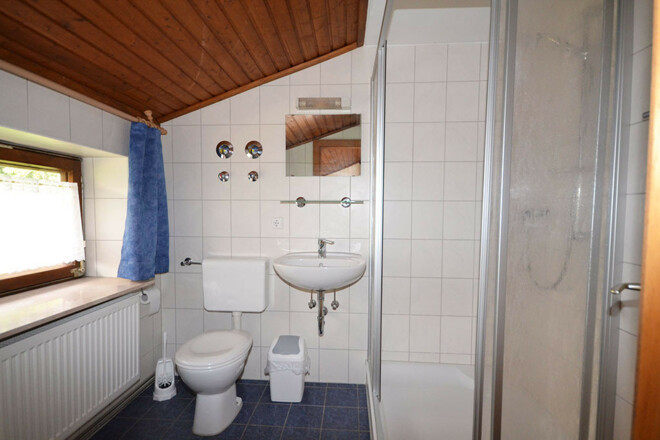Ferienwohnung Holzhammer Hof (Bayerbach)