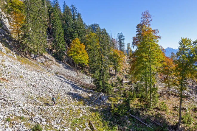 Querung vom Törl zum Aufstieg zur Kremsmauer.