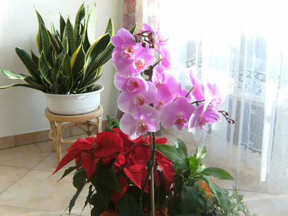 Landhaus Rottalblick (Bad Birnbach)