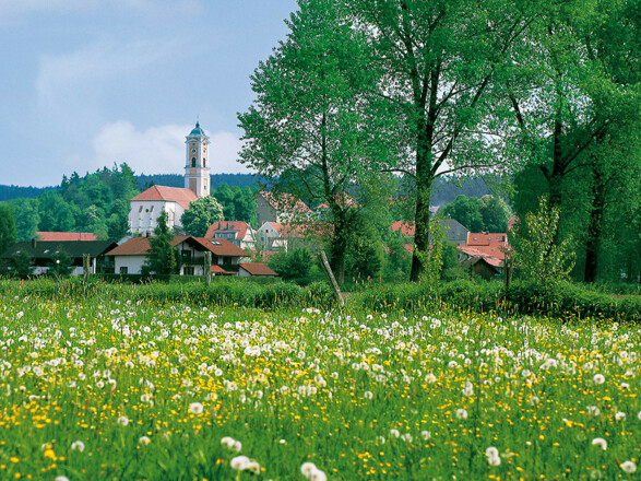 Dr. Hofer´s Ferienwohnung (Bad Birnbach)