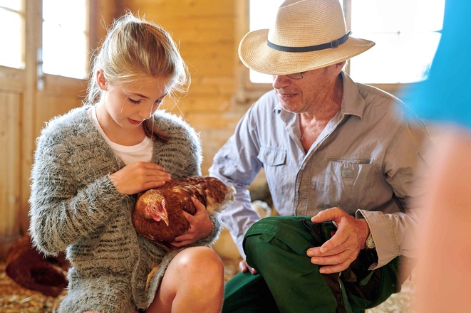 Hühner auf dem Staller Ferienhof