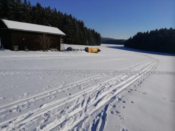 Einmündung der Loipe von Passberg Nr. 13 in die Pirauloipe Nr. 15