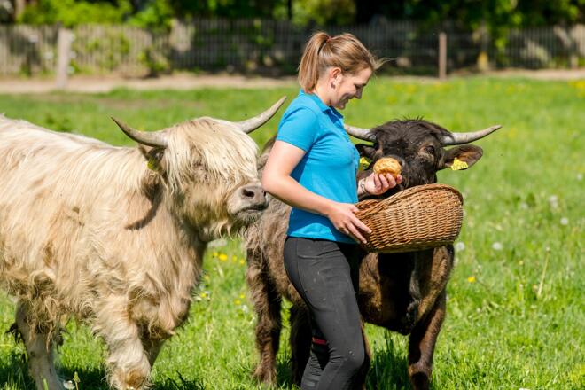 Tiererlebnis am Moierhof