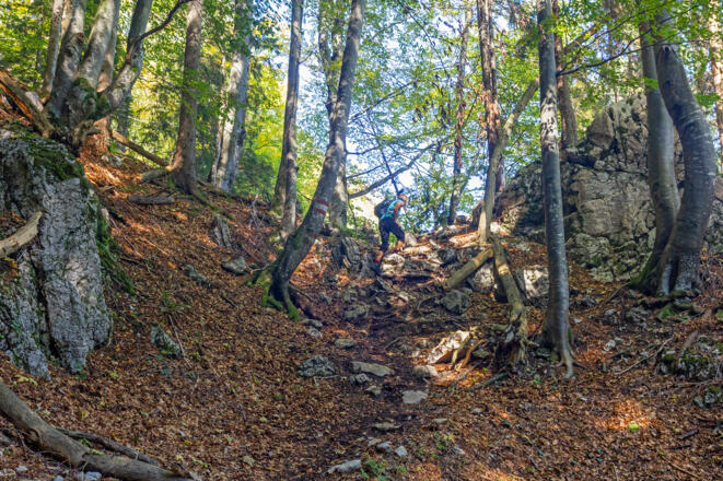 Steil bergauf zur Pamstaller Alm.