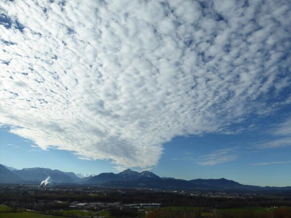 Blick vom Plainberg auf den vulkanähnlichen Hohen Staufen.