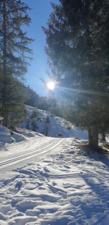 DAD5F54E-C10D-4160-92CE-F4882791E2DC