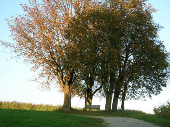 Mesnerhof (Bayerbach)