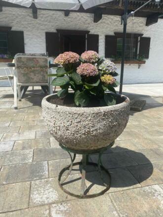 Blumen