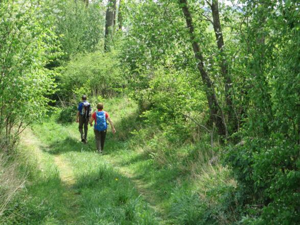 Alter Pferdeweg zur Aiterbach-Au