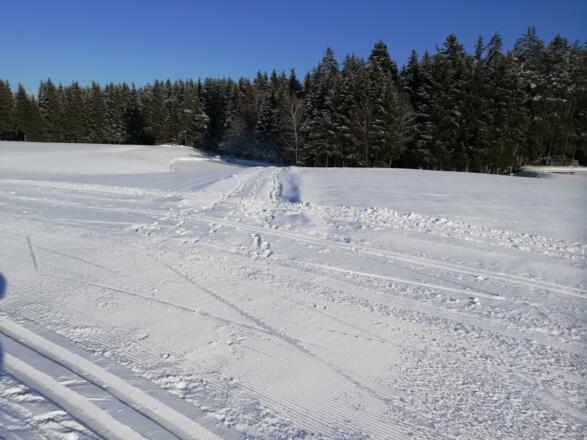 Pirauloipe Nr. 15 und Nordwaldkammweg II bei Zulissen