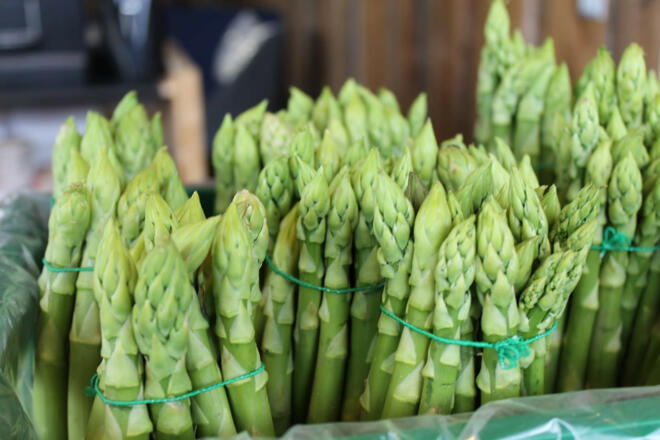 Grüner Spargel vom Spargelhof Kügel in Abensberg