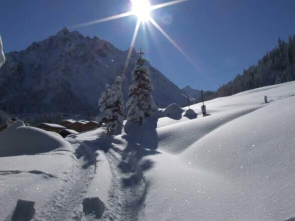 Blick aus dem Fenster