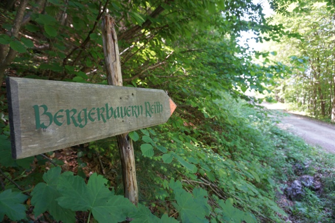 Wegweiser zeigen die Richtung