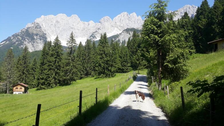 Going_Märchenwiese_Wilder Kaiser