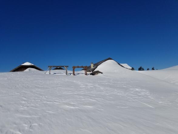 Die Lanznalm ist kaum mehr zu erkennen. Bester Anschauungsunterricht des Windeinflusses.