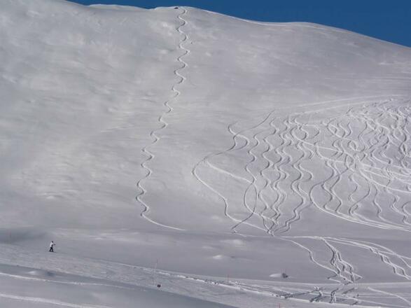 traumhafte Tiefschneehänge