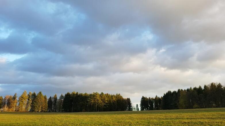 Naturerbe Frauenholz bei Oberhinkofen
