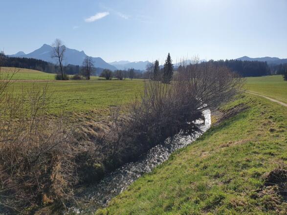 Samerberger Filze Steinbach im Frühling