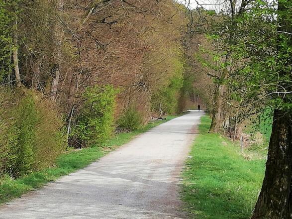 Wander- und Radweg bei der Wieskirche in Richtung Neustift