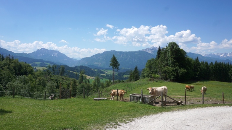 Traumhafter Ausblick von der Terrasse