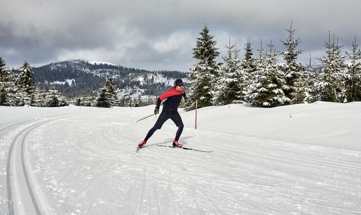 Die Auerhahnhöhenloipe ist ein Traum