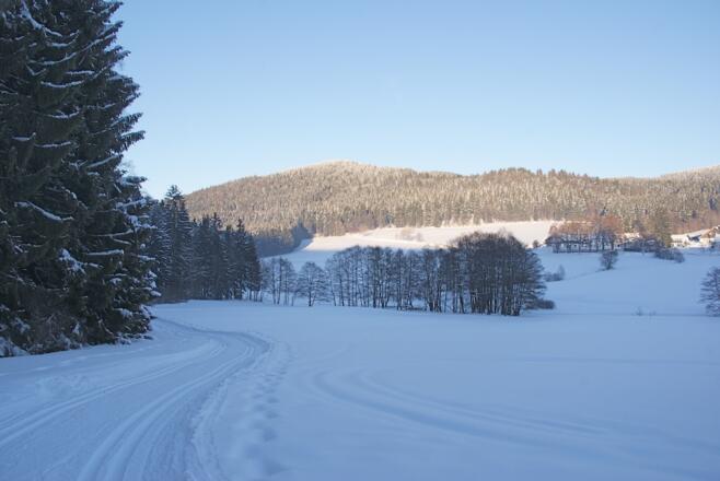 Abfahrt zum Klinglbachweiher