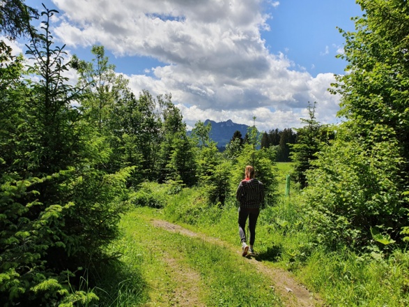 Wanderung Samerberger Filze