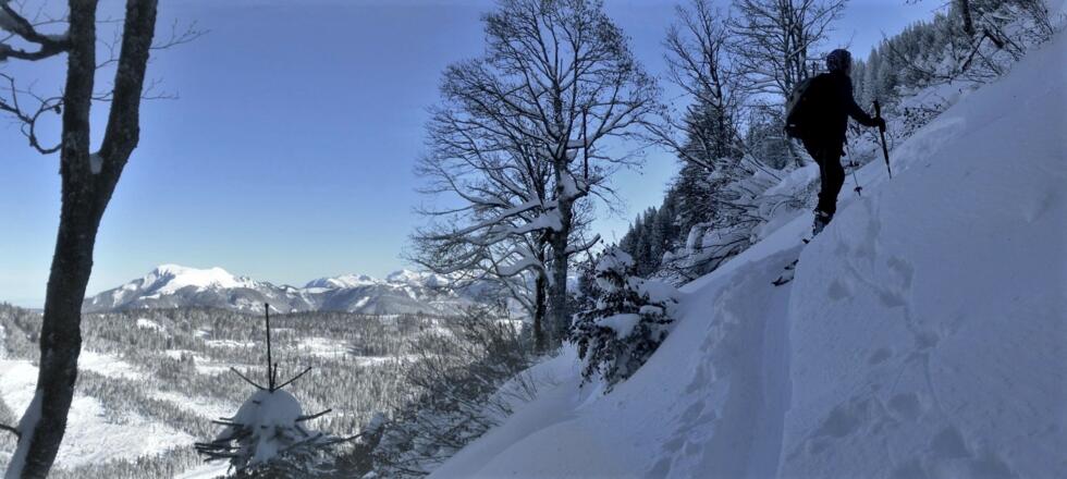 Schafberg aus der Steilflanke