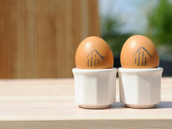 Hofgut Hafnerleiten (Bad Birnbach)