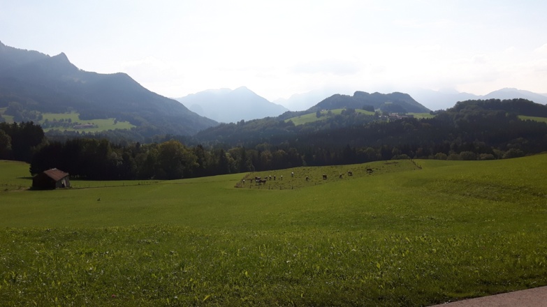 Samerbgerg - zwischen Moosen und Mitterhof