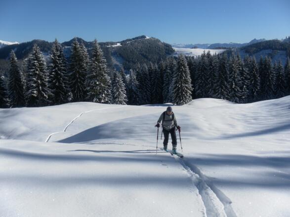 Ost-Panorama aus der Schneise