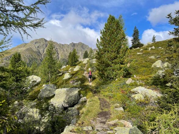 Hinter der Salzkofelhütte