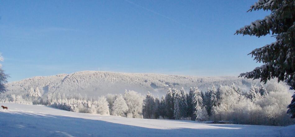Pröller (1048 m) vom Weg Maibrunn-Maierhof