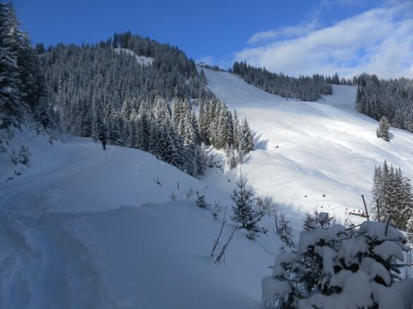 Pisten von der Resterhöhe zum Pass Thurn