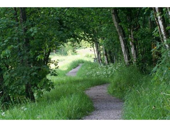 Wandern_Durch Wald und Wiesen_Wilder Kaiser