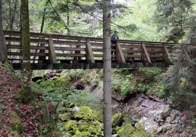 Brücke auf der Strubberg-Runde