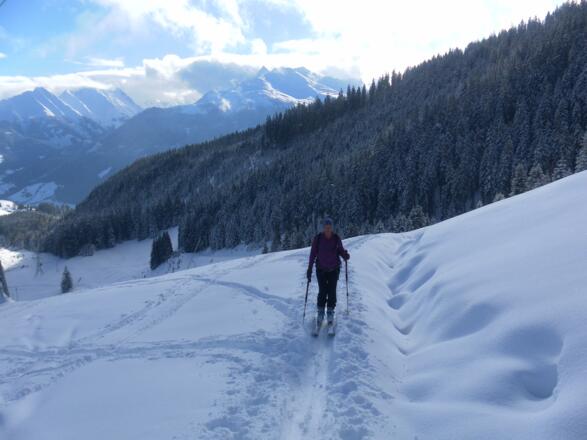 Piste oder Almwiesen?