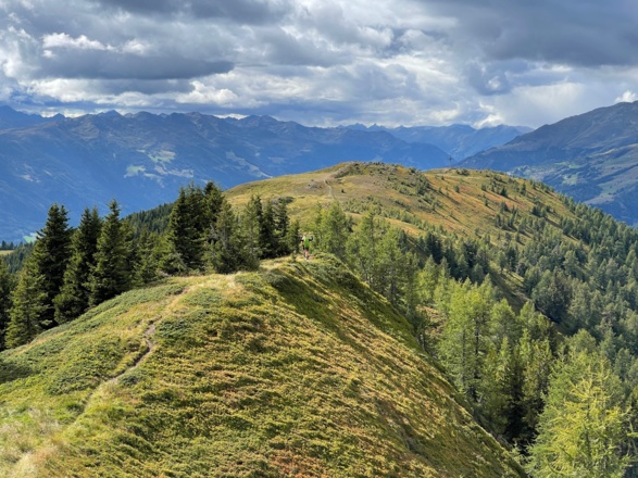 Traumhafte Heidelandschaft am Tag 4