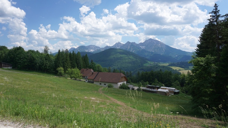 Ausblick zu den Haller Mauern