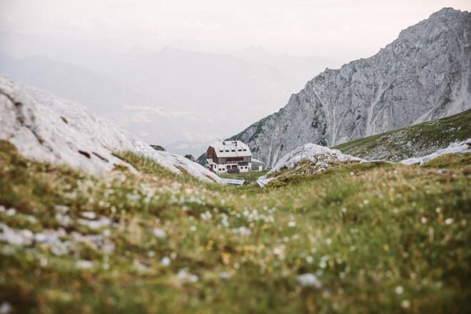 Blick auf das Guttenberghaus