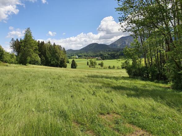 Samerberger Filze Blick nach Grainbach