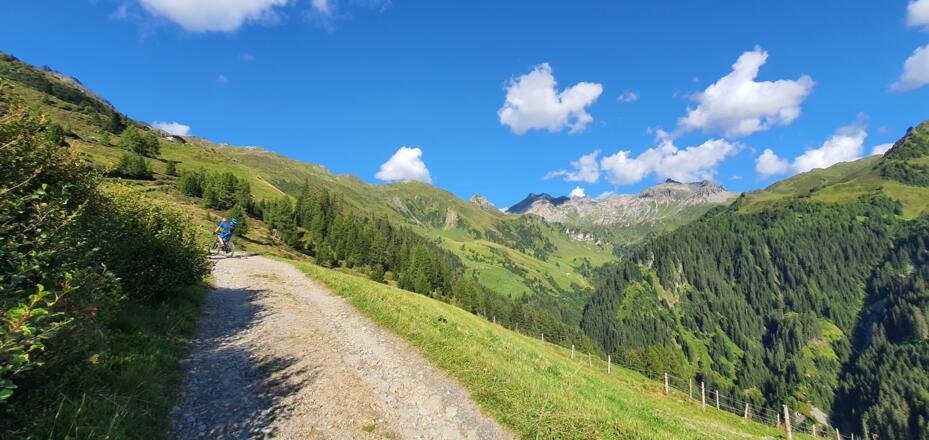 Zwischen Peeralm und Zehetner Alm