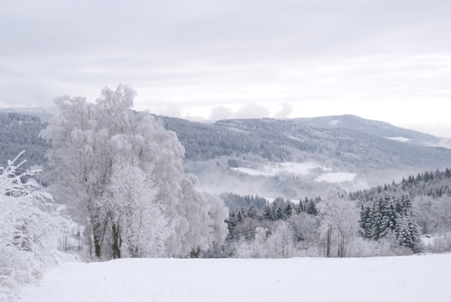 Talblick vom Weg Maibrunn-Grün