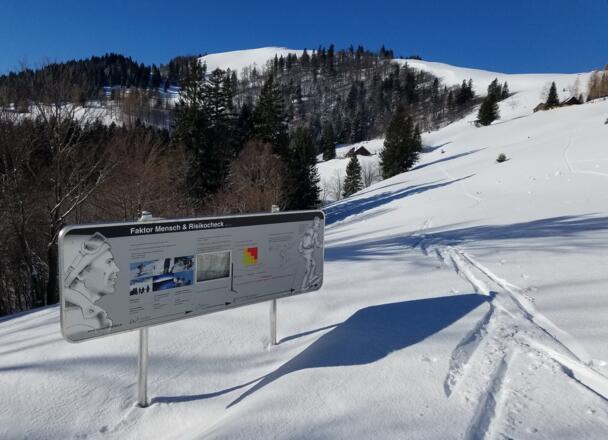 Erstmals zeigt sich die sanfte Loibersbacher Höhe.