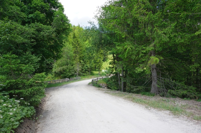 Gemütlich der Schotterstraße entlang