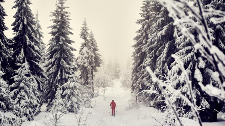 Ski- + Schneeschuhtour