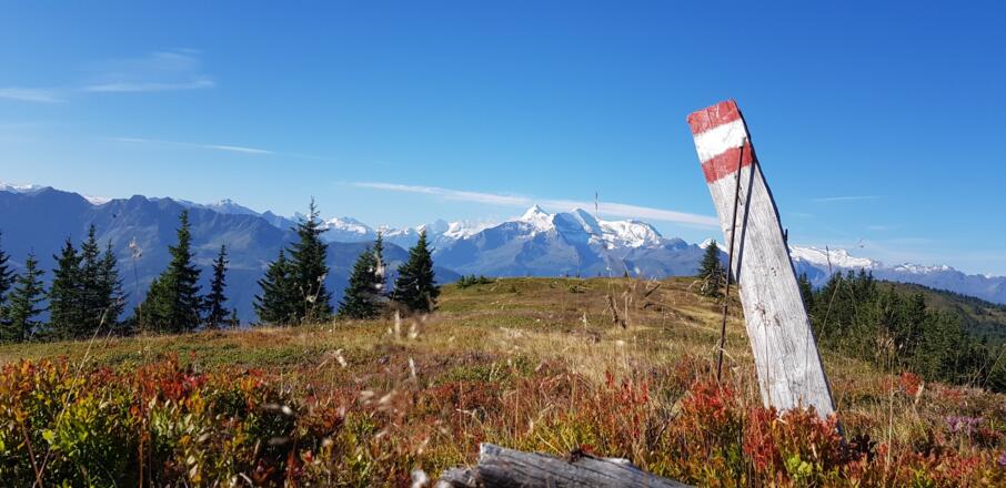 Foto: Tourismusverband BRUCK FUSCH | GROSSGLOCKNER