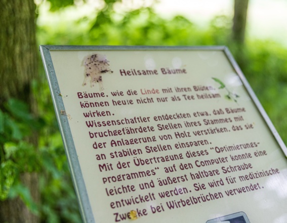 Infotafel GehölzErlebnisPfad am Germeringer See