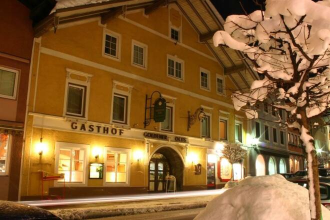 Winter Goldener Ochs